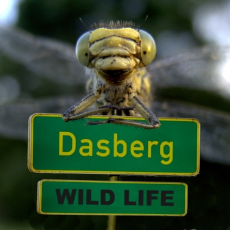 dasberg wild life