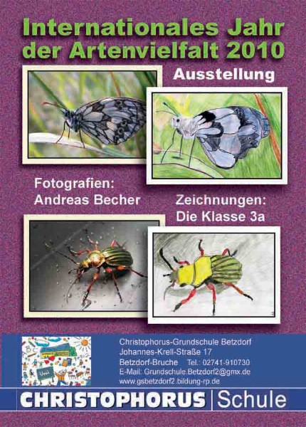 Flyer Christophorus-Schule