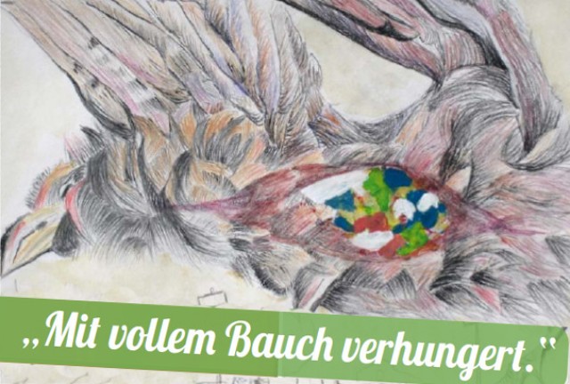 Seevogel von Hanne Volk Seevogel von Hanne Volk
